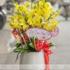 Chậu Lan Hồ Điệp 16 Cành Vàng HD096