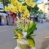 Chậu Lan Hồ Điệp 4 Nhánh Vàng HD087