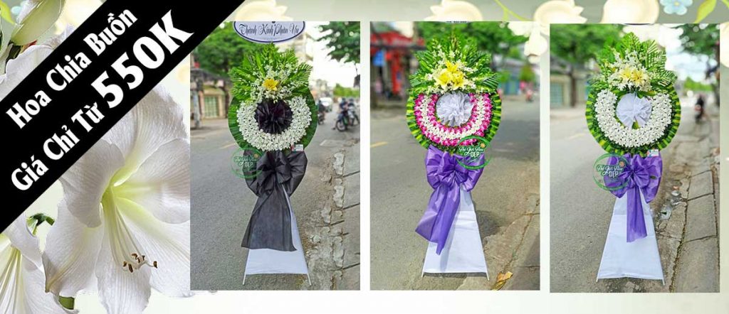 Chậu Lan Hồ Điệp Xinh Xắn