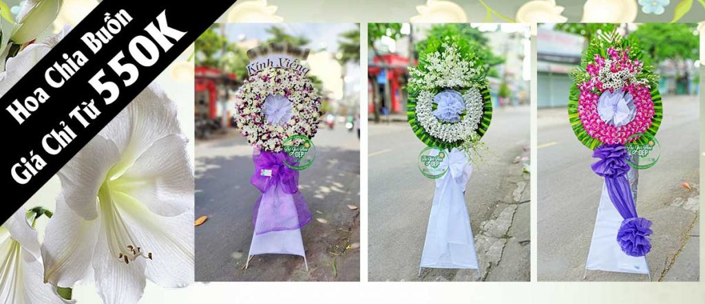 Chậu Lan Hồ Điệp Xinh Xắn