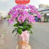 Chậu Lan Hồ Điệp 10 Cành Hồng Anna HD117