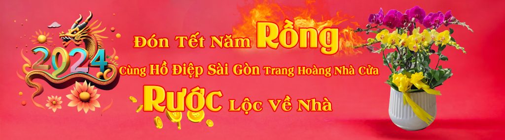 Chậu Lan Hồ Điệp Xinh Xắn