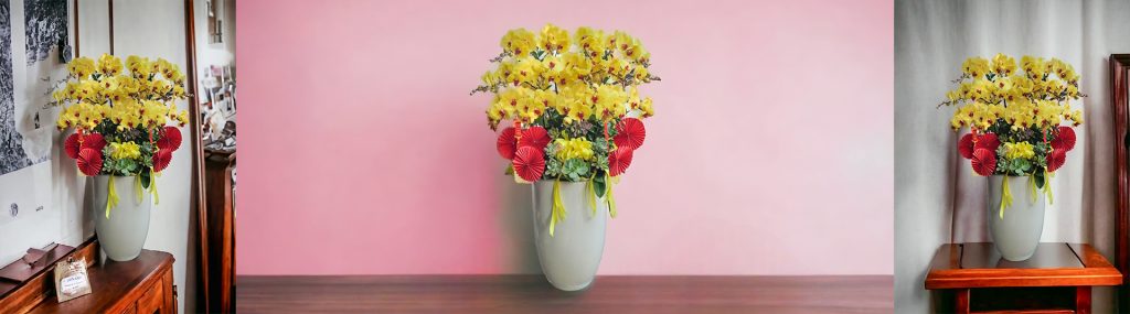 Chậu Lan Hồ Điệp Xinh Xắn